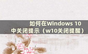 如何在Windows 10中关闭提示（w10关闭提醒）